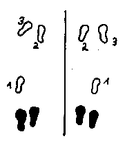 sd_fuss.gif (2189 Byte)